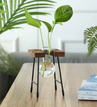 Transparent Glass Vase for Hydroponic Planting (1pc) - countrycottagebarn
