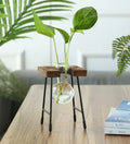 Transparent Glass Vase for Hydroponic Planting (1pc) - countrycottagebarn