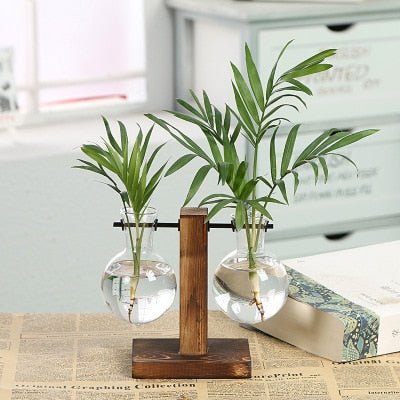 Hydroponic Transparent Plant Vases - countrycottagebarn