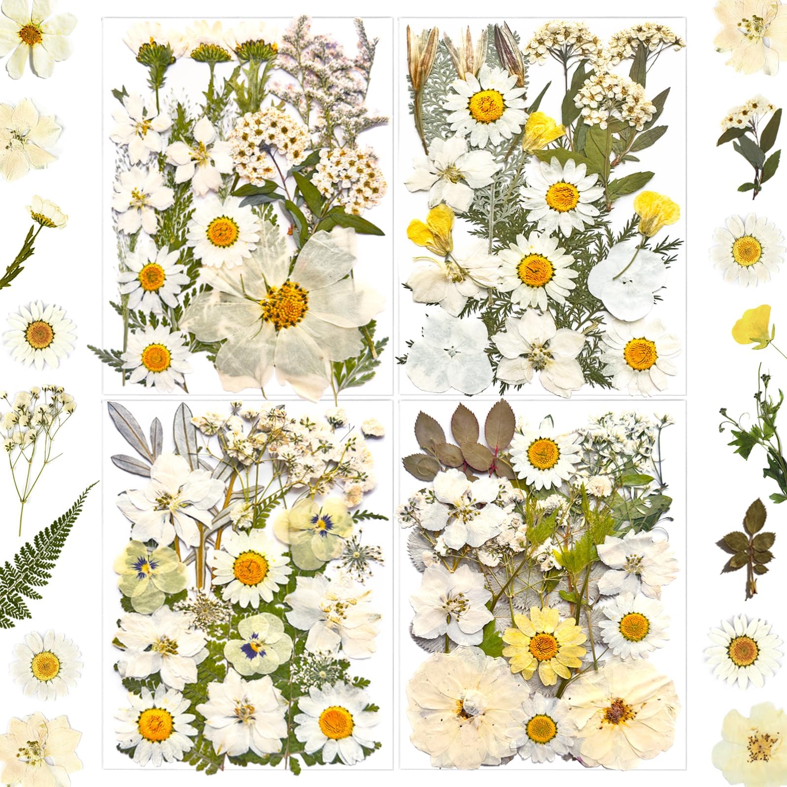 MIKIYA 90Pcs White Dried Pressed Flowers for Resin Molds Real Natural Bulk Dry Floral Leaves for DIY Art Crafts Epoxy Jewelry Candle Soap Making Nails Decors Gifts - countrycottagebarn