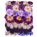 Large Purple Dried Pressed Flower for Crafts Large Big Real Nature Dry Pressed Flowers for Resin Molds Candle Making Phone Cases DIY Art Crafts Jewelry Making - countrycottagebarn
