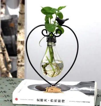 Creative Hydroponic Potted Plant in Glass Container - countrycottagebarn