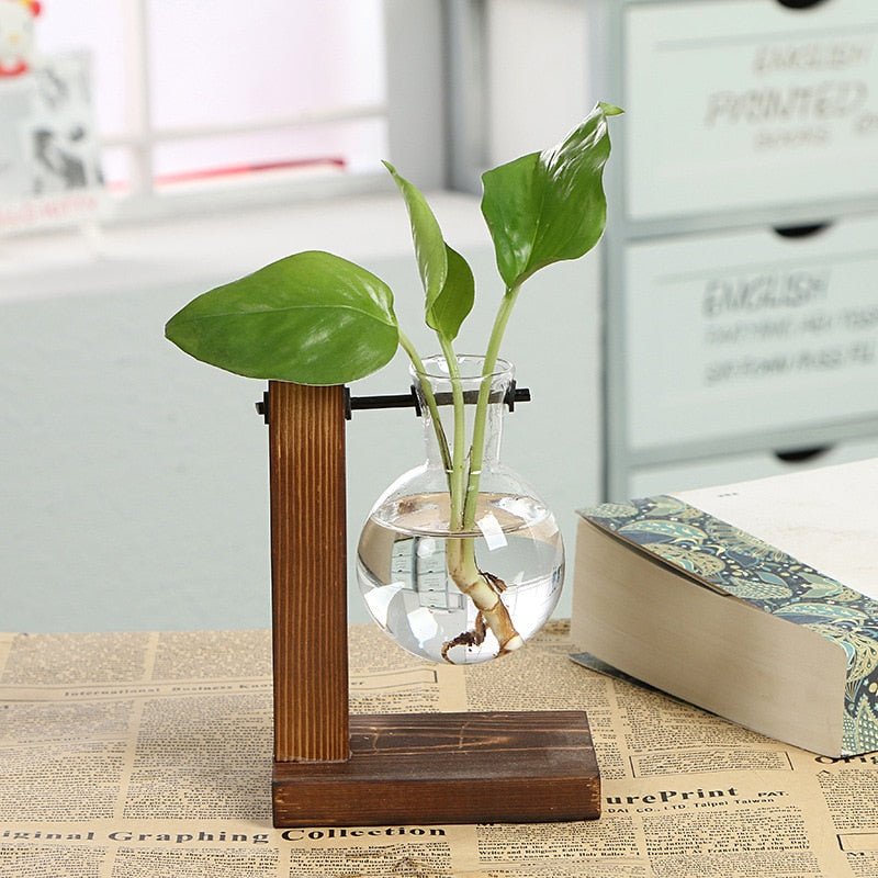 Hydroponic Transparent Plant Vases - countrycottagebarn