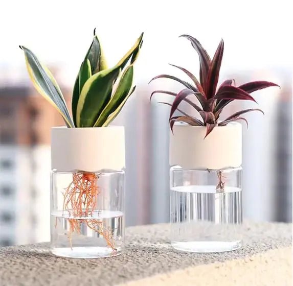 Transparent Small Pot For Plant Hydroponic Desktop - countrycottagebarn