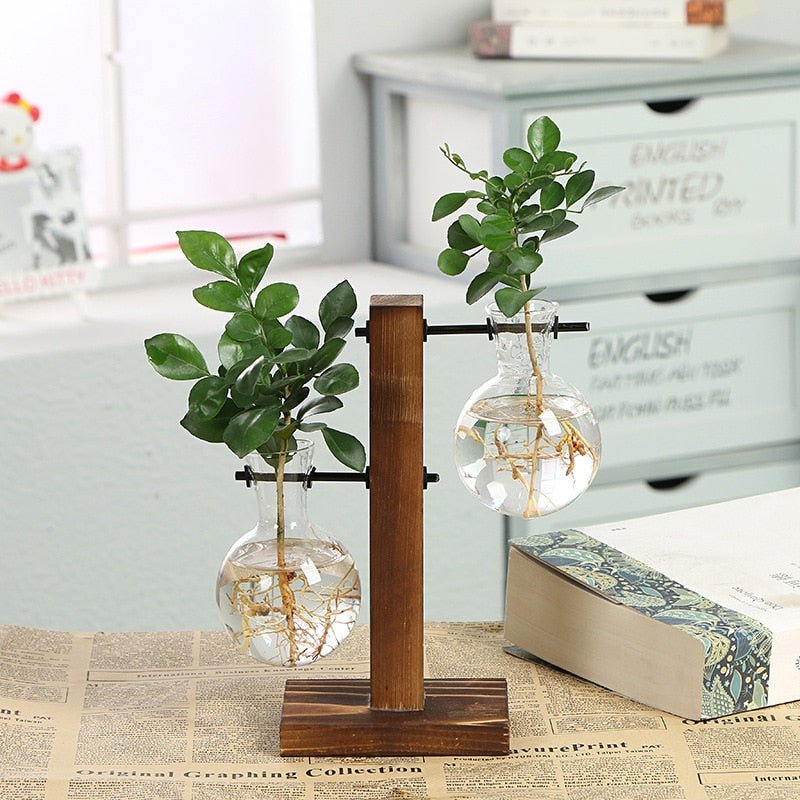 Hydroponic Transparent Plant Vases - countrycottagebarn