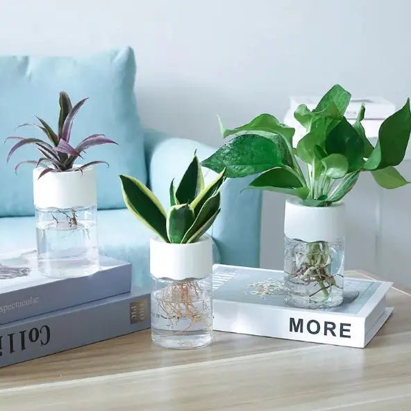 Transparent Small Pot For Plant Hydroponic Desktop - countrycottagebarn