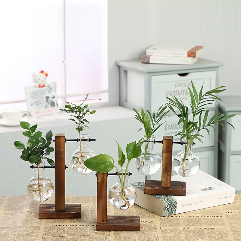 Hydroponic Transparent Plant Vases - countrycottagebarn