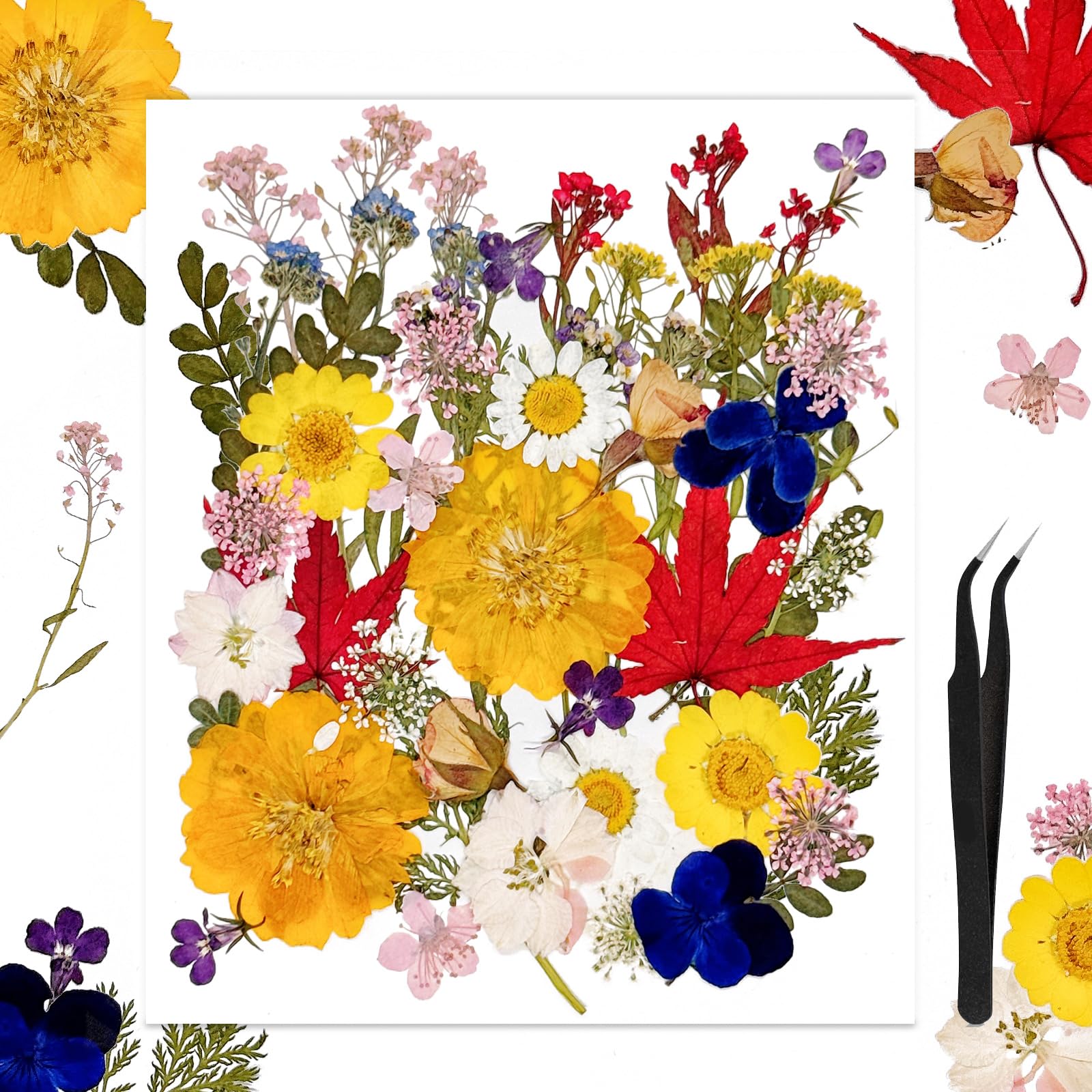 50Pcs Large Dried Pressed Flowers for Resin Molds Real Dry Natural Flower Leaf for Crafts Scrapbooking with Tweezers for Candle Making DIY Jewelry Crafts Soap Making Cake Decor Glass Frame - countrycottagebarn