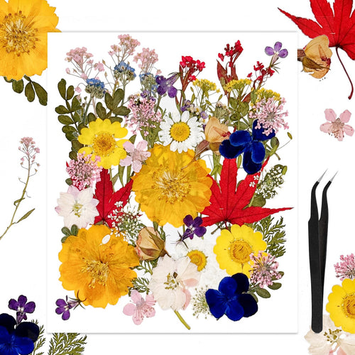 50Pcs Large Dried Pressed Flowers for Resin Molds Real Dry Natural Flower Leaf for Crafts Scrapbooking with Tweezers for Candle Making DIY Jewelry Crafts Soap Making Cake Decor Glass Frame - countrycottagebarn