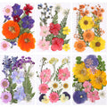 eBoot 72 Pcs Dried Pressed Flowers for Resin Molds Real Pressed Flowers Dry Leaves Bulk Natural Herbs Kit for Scrapbooking DIY Art Crafts Jewelry Molds Candle Soap Making Nails Decor(Gorgeous Style) - countrycottagebarn