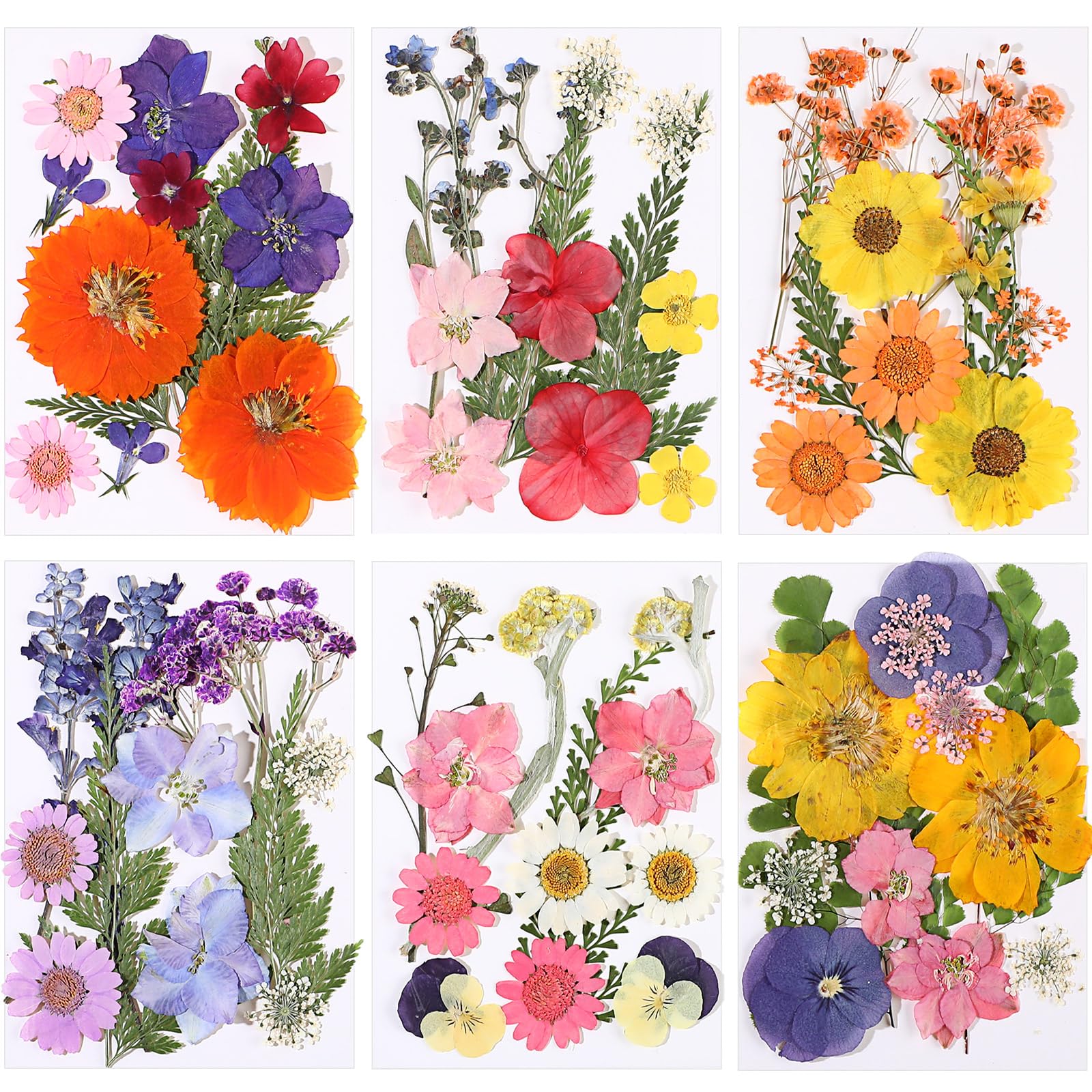 eBoot 72 Pcs Dried Pressed Flowers for Resin Molds Real Pressed Flowers Dry Leaves Bulk Natural Herbs Kit for Scrapbooking DIY Art Crafts Jewelry Molds Candle Soap Making Nails Decor(Gorgeous Style) - countrycottagebarn