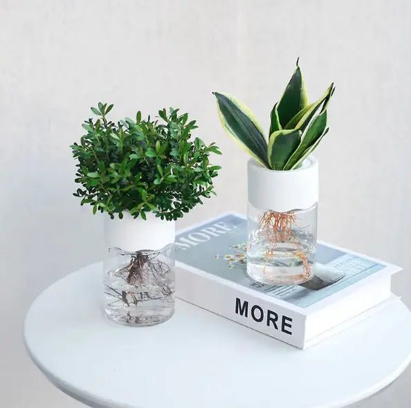 Transparent Small Pot For Plant Hydroponic Desktop - countrycottagebarn