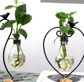 Creative Hydroponic Potted Plant in Glass Container - countrycottagebarn