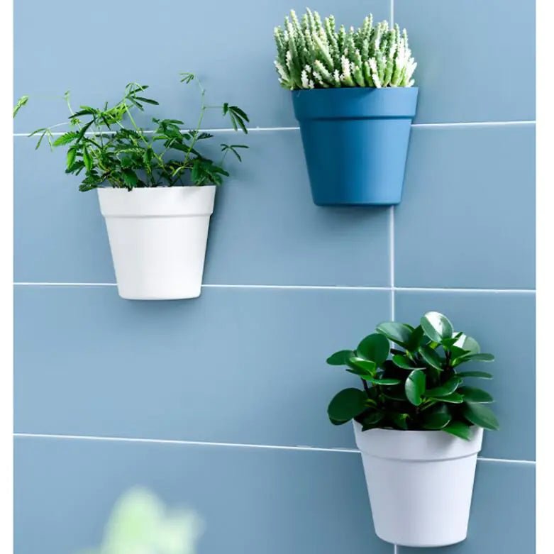 Creative Wall - mounted Hydroponic Flower Pot for Indoor Bonsai - countrycottagebarn