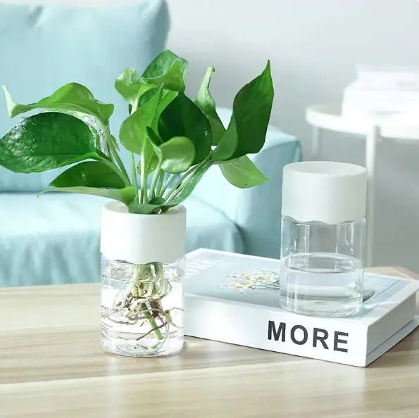 Transparent Small Pot For Plant Hydroponic Desktop - countrycottagebarn